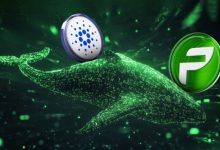 cardano-whales-move-$50m-to-altcoin-primed-for-29,043%-gains-in-upcoming-december-crypto-bull-market